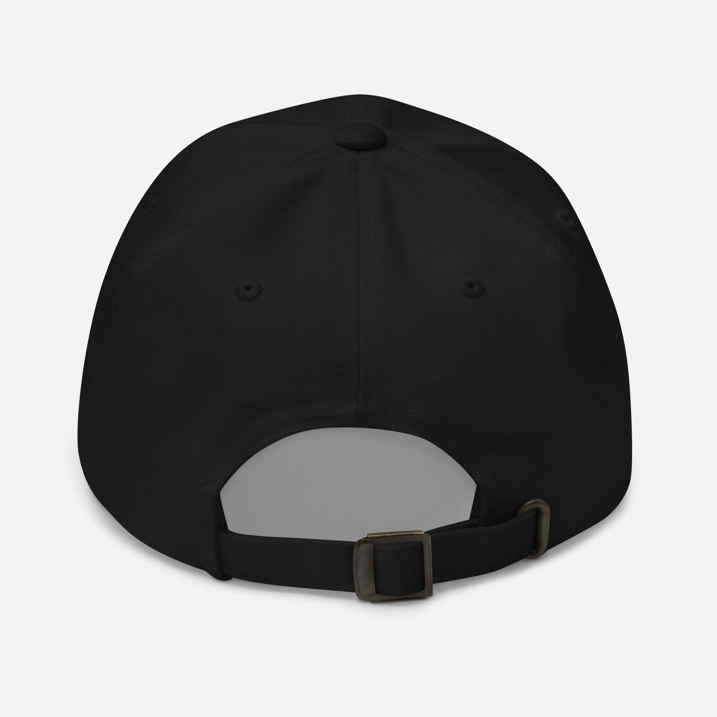 SC Logo Dad hat - SC Filtration