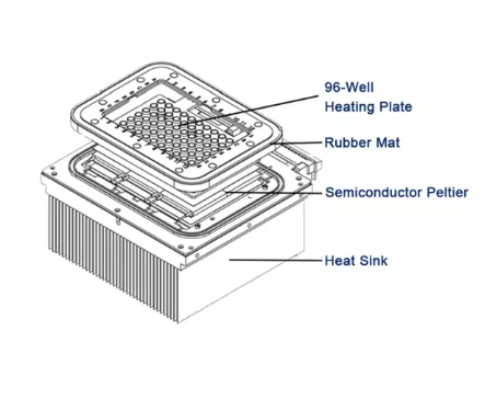 Fluorescent Quantitative PCR DetectionSystem