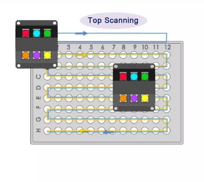 Fluorescent Quantitative PCR DetectionSystem